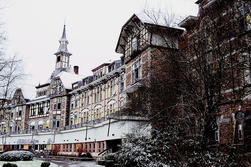 Basil II by Dimitri Declercq