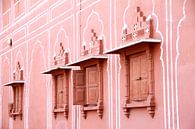 Roze straat in India van Irma Grotenhuis thumbnail