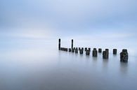 Minimalistische strandpalen van Jolanda de Leeuw thumbnail