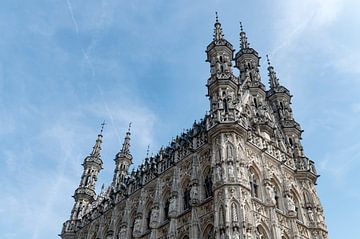 Stadhuis Leuven van Richard Wareham