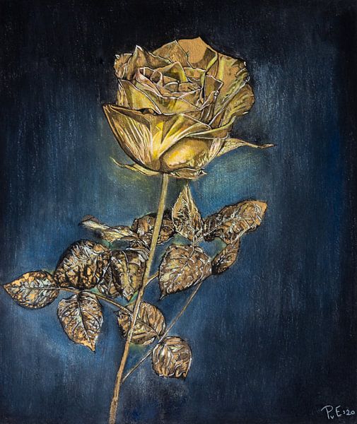 ROOSE D'OR par Patrick van Eck