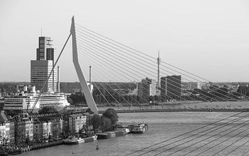 Erasmus-Brücke mit MS Rotterdam in Rotterdam