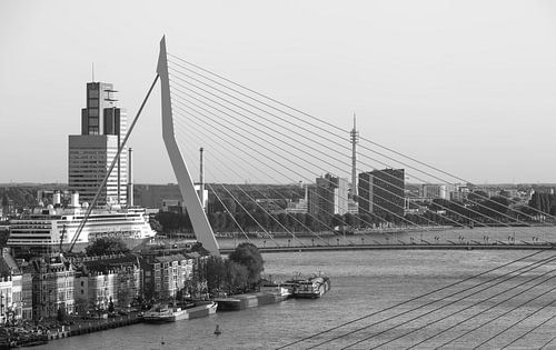 The Erasmus Bridge with MS Rotterdam in Rotterdam