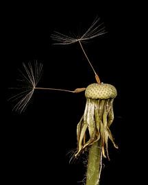 Juste les deux d'entre nous sur Uwe Ulrich Grün