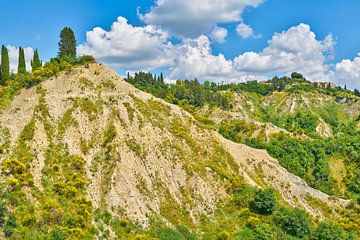 Toscane landschap in Italië van eric van der eijk