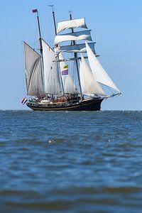 Dreimaster-Schoner Gulden Leeuw segelt auf dem Wattenmeer