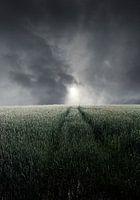 stormlandschap