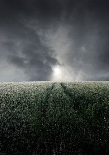 stormlandschap