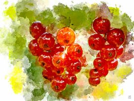 Johannisbeeren