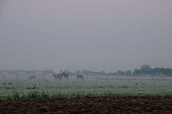 Een landschap ontwaakt
