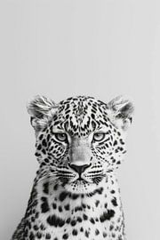 Leopard von Poster Art Shop