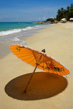 Parasol on Ko Samui by Matthias Stolt