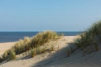 Duinen.....