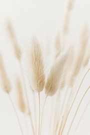 Softness in shades of beige by Nienke van Denderen