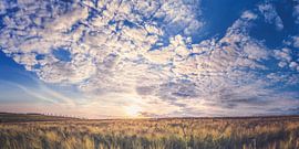 Summer by Steffen Gierok