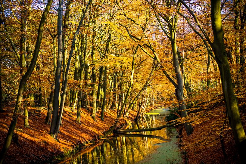 Autumn in the Clingendael Estate by Rienk Boode