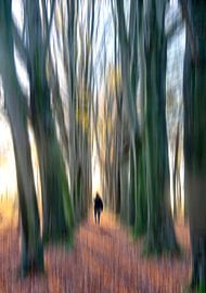 Wood nymph by Franke de Jong