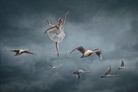 Het Zwanenmeer Ballerina