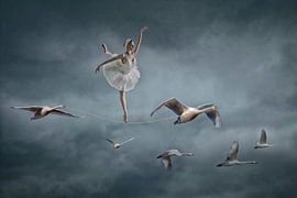 Swan Lake Ballerina by Puravida - Photography and photo art