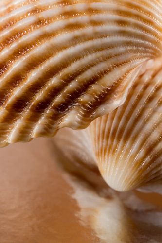 Warme Farben: Linien folgen der Form mit abstrakter Reflexion von Marjolijn van den Berg