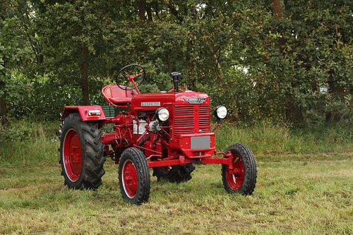 Farmall 14.08.2019