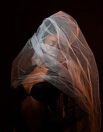 I need to Fly by Alaa Alatrash