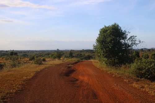 Landscape with reddish-brown earth