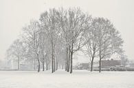 Sneeuw in winter landschap van Corinne Welp thumbnail