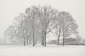 Schnee in der Winterlandschaft von Corinne Welp