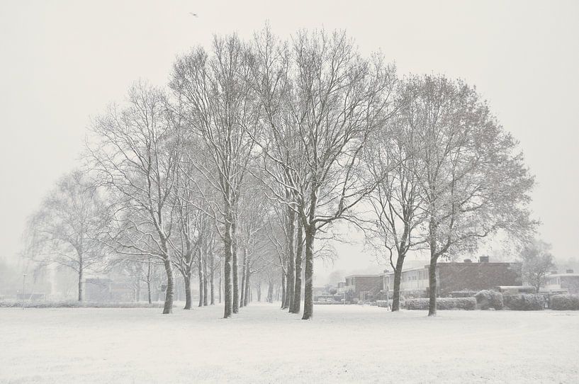 Sneeuw in winter landschap van Corinne Welp