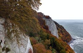 Chalk cliff Königsstuhl in the Jasmund National Park by arte factum berlin