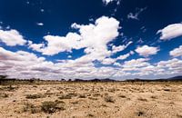 Endless plains