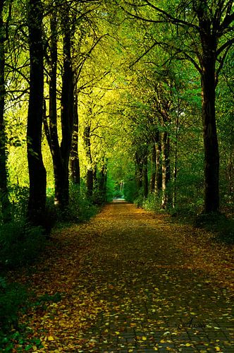 Jahreszeiten - Herbst