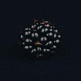 Brombeere von STUDIO7005 .nl