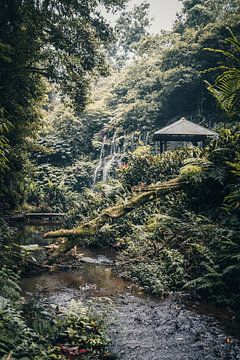 Betoverende waterval in de jungle van Bali, Indonesië van Troy Wegman