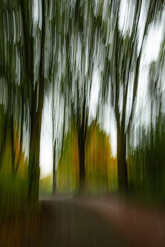 Fietspad tussen een bomenlaan (ICM fotografie, abstract)