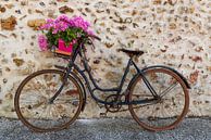 Oude fiets met bloemenmand van Daan Kloeg thumbnail