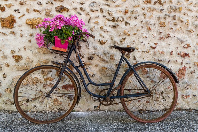 Oude fiets met bloemenmand van Daan Kloeg