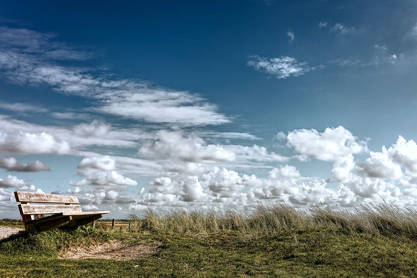the bench by eric van der eijk