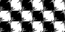 Papier peint Mad Cats sur Artmotifs Eve