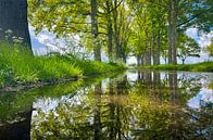 Spiegelweg by Jeroen Smit thumbnail