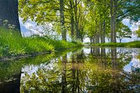 Spiegelweg