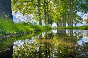 Spiegelweg