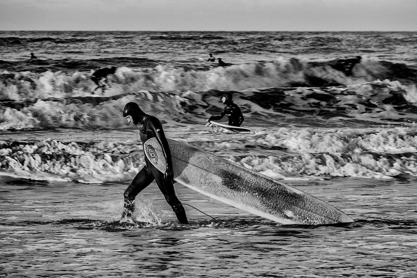 Surf Dudes par Rogier Steyvers