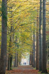 Marcher sur l'avenue Without End Zeist sur Peter Haastrecht, van