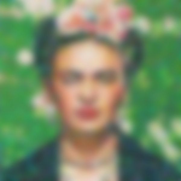 Frida Blur Series by Nicole Habets