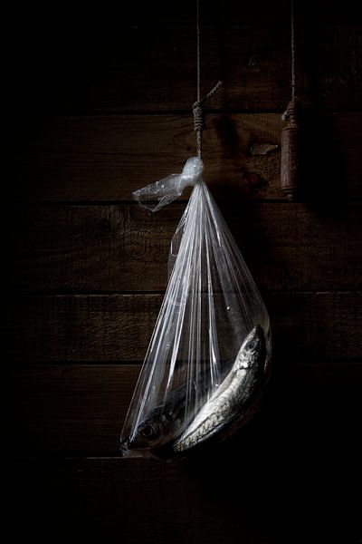 Body bag by Helena Zanting