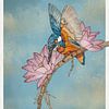 Aquarelle sur le martin-pêcheur et les nénuphars sur Marjolein Fortuin