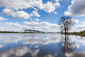 Der Maas in Cuijk von Bart van Dinten