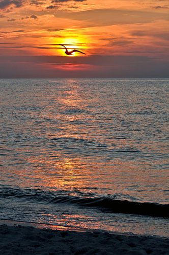 Sommerlicher Sonnenuntergang am Ostseestrand von Warnemünde von Silva Wischeropp
